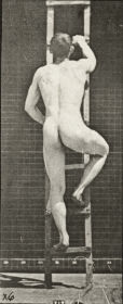 Plate 111 Ascending a ladder — figure reference
